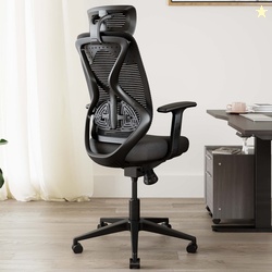 CARLTON LONDON Atlas Mesh Office Adjustable Arm Chair (Black, Opt...mo