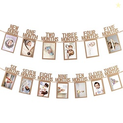 Party Propz 1-12 Month Photo Frame Banner - Set of 1 Photo Banner for 