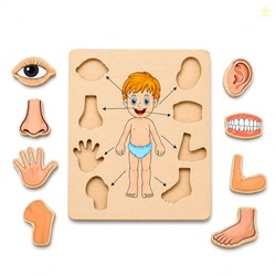 Body Part Puzzle Kids Wooden Toys for Kids 3 + Jigsaw Puzzles for Adul