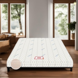 Coirfit BIOLIFE 7-Zone Latex Talalay Tech. 5 Inch Queen Size Latex Foa
