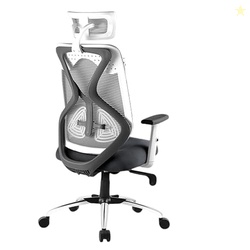 Ergonomic Mesh Office Chair with Adjustable Headrest, Breathable Back,