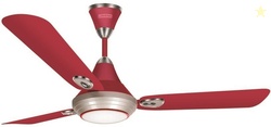 RR Lumaire Underlight with 1 Year Warranty 1200 mm Ceiling Fan (W...mo