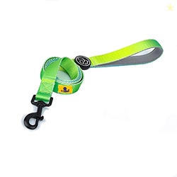 A+a Pets' Nylon Waterproof Leash | Neoprene Padded Handle for Dogs & C