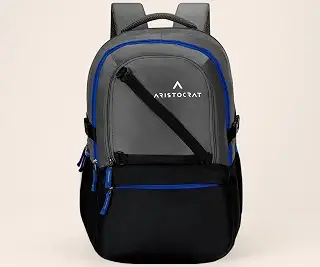 Aristocrat Hype 33L Laptop Backpack (Upto 17"), 2 Compartments, Grey |