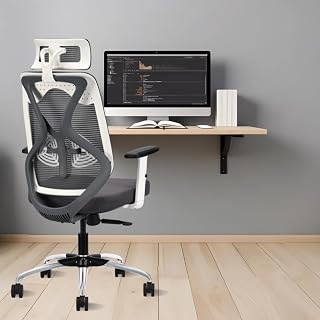 IAFA FURNITURE Ergolux High Back Ergonomic Office & Study Chair | 3 Ye