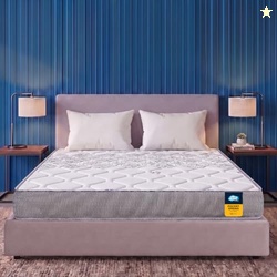 Sleepables |10 Years Warranty | 8-Inch Double Size Ortho Pocketed Zero