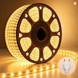 Desidiya 20 Meter LED Rope Light Warm White for Diwali Decoration | Fl