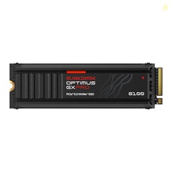 SanDisk Optimus GX PRO 8100 NVMe 1 TB Internal SSD with Heatsink, Upto