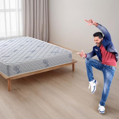Repose Eyelidz 8-inch Firm Queen Size Spring Mattress (78X60X8_Foam), 