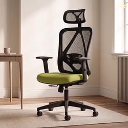 DROGO Ergonaut Ergonomic Office Chair for Work from Home | Computer Ch