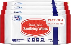 Cool & Cool Sanitizing Wipes - 40's (Pack of 4) - Antibacterial Skin W